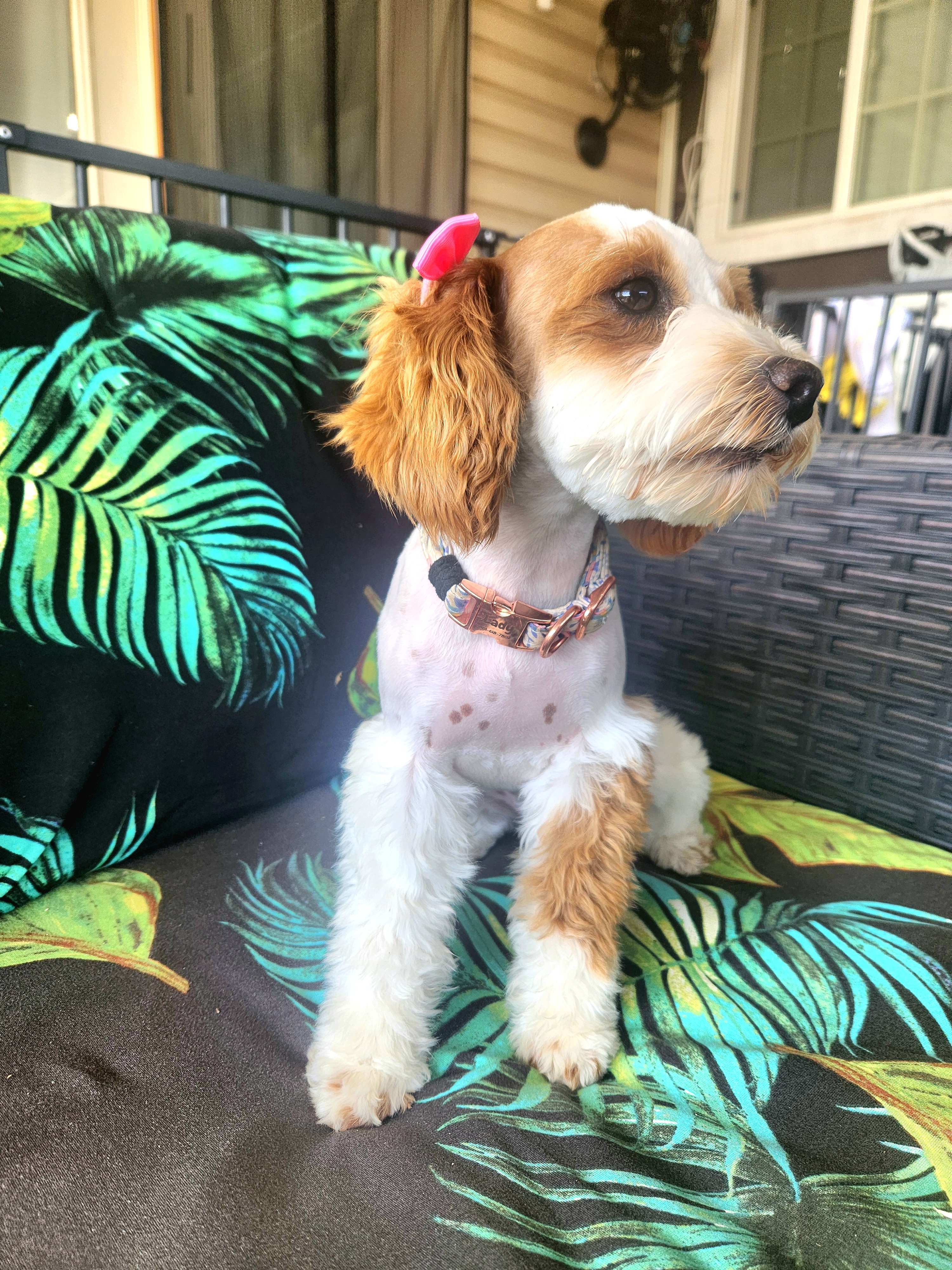Lady posing for a photo