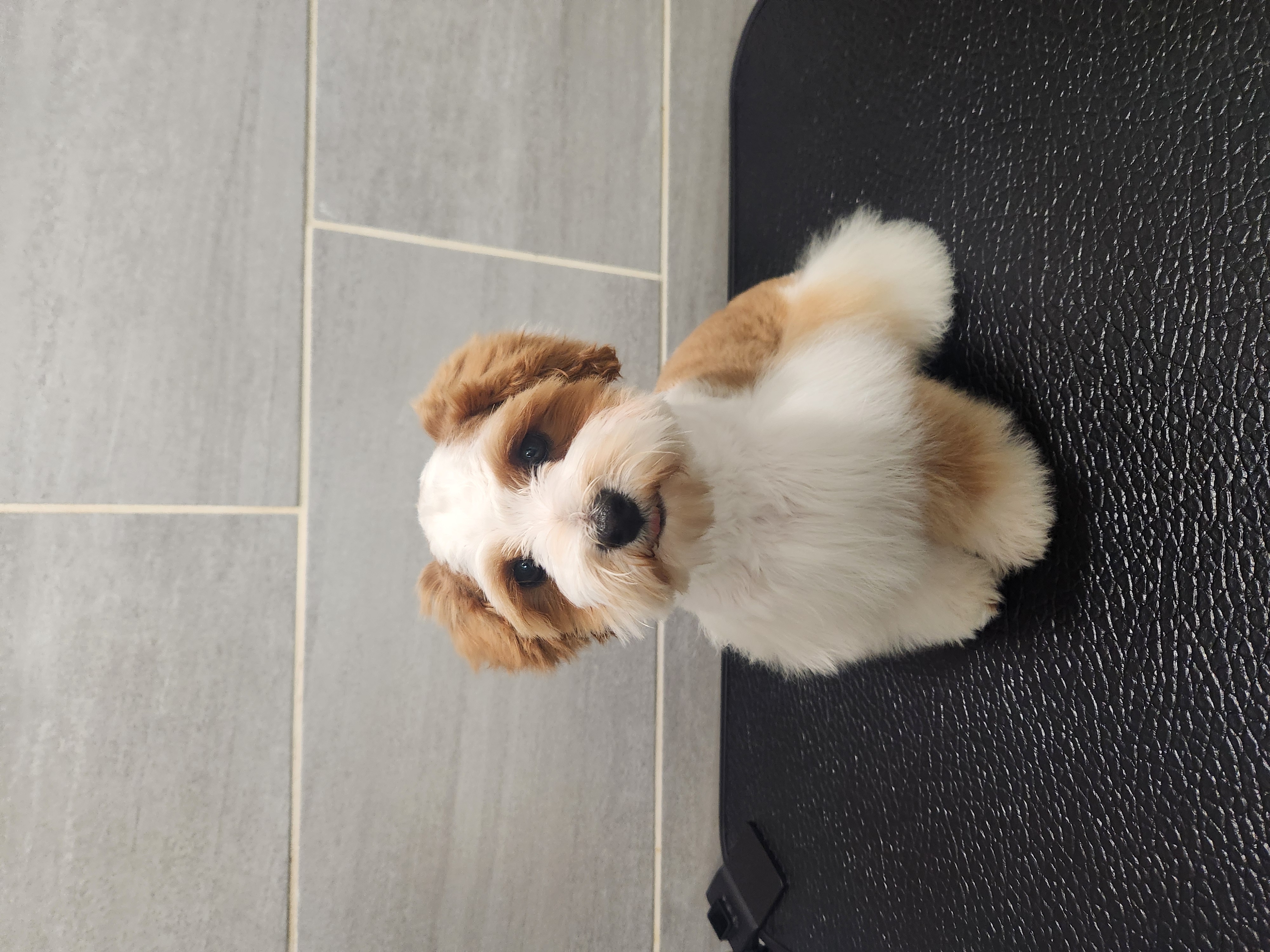 Lady posing at home