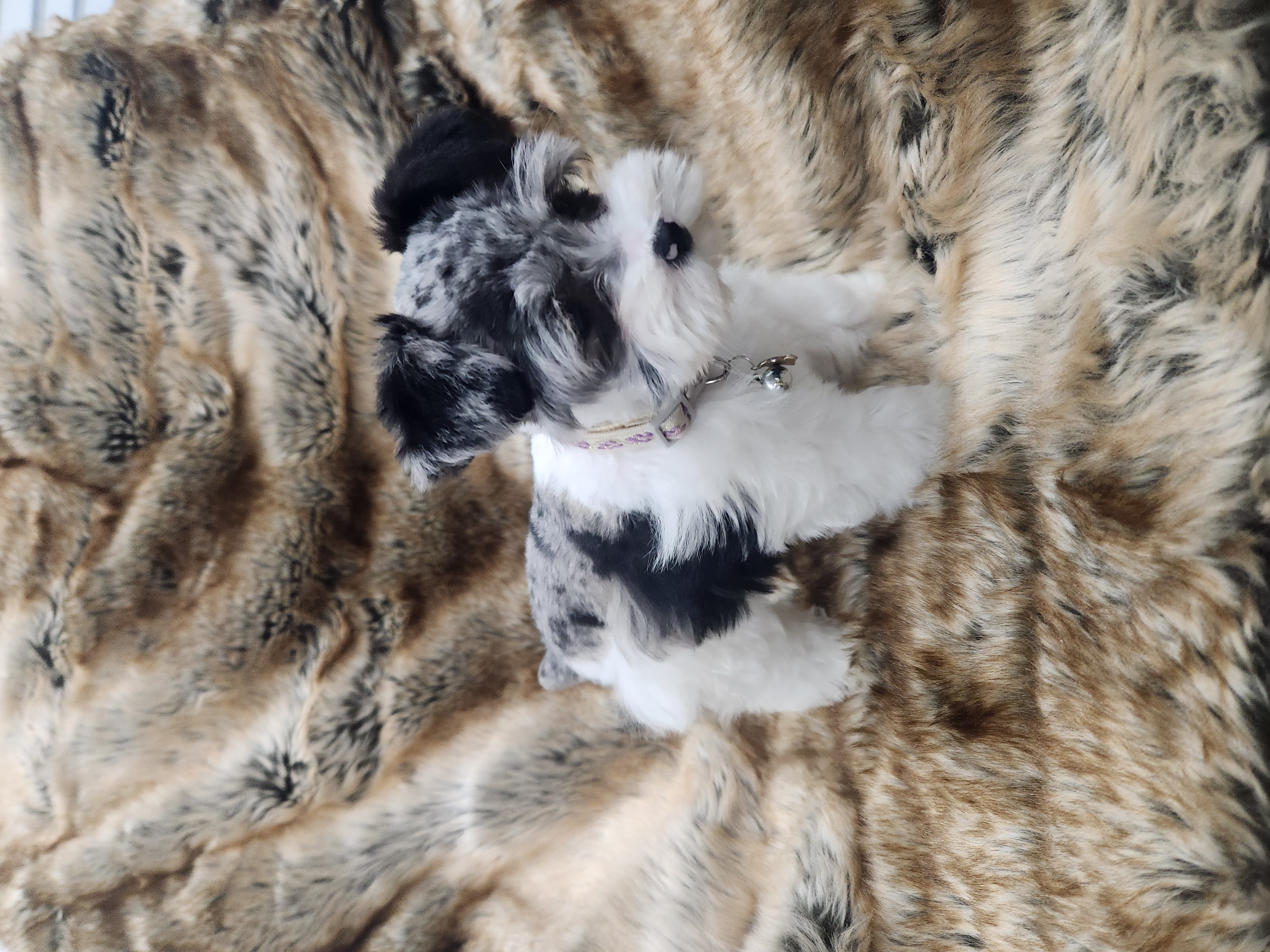 Zeena posing for a photo
